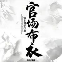 官场布衣